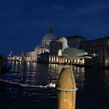 Venezia Piazza San Marco Apartamento