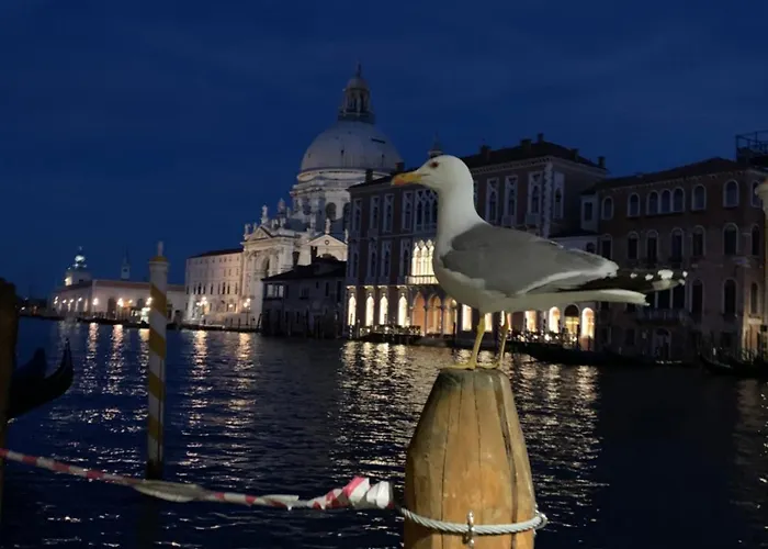 San Marco Διαμέρισμα